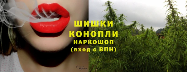 не бодяженный Богданович