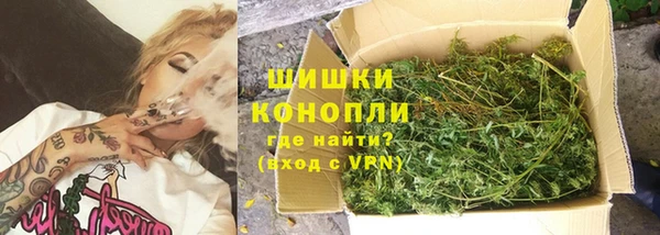 не бодяженный Богданович