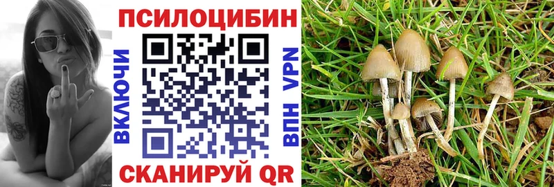 KRAKEN вход  Короча  Псилоцибиновые грибы ЛСД 